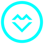 Sygnet VizMaker transparent 1080x1080