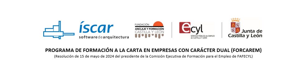 programa formacion empresas