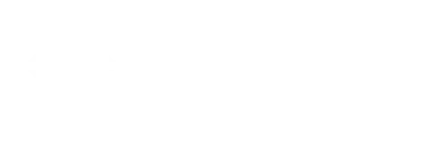 vizmaker logo wordmark 1